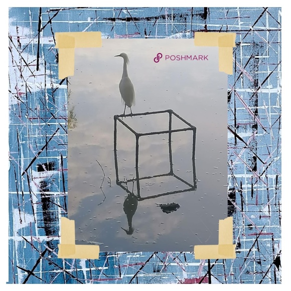 Meet your Posher, David - Picture 2 of 16